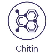 CHITIN